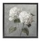 Stupell Industries White Hydrangeas Pair Floater Framed Canvas Wall Art Design by Danhui Nai